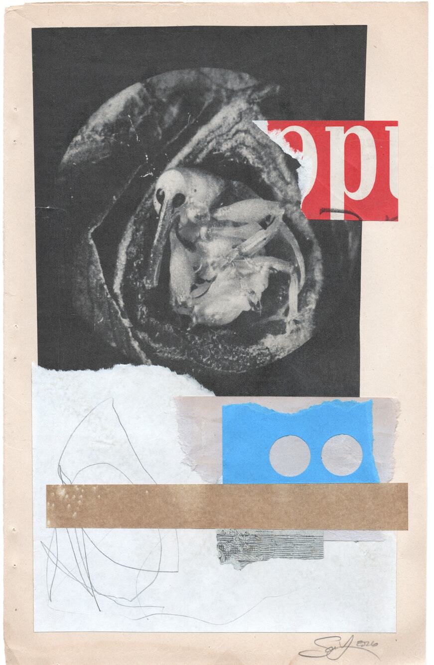 Original Mixed Media Modern Art Collage "Dealate" 6.25x10" Signed